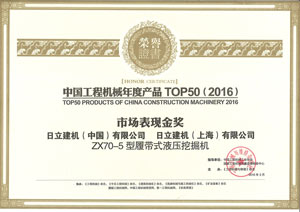 TOP50市场表场金奖荣誉证书